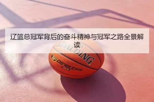 辽篮总冠军背后的奋斗精神与冠军之路全景解读