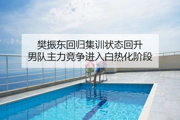 樊振东回归集训状态回升 男队主力竞争进入白热化阶段